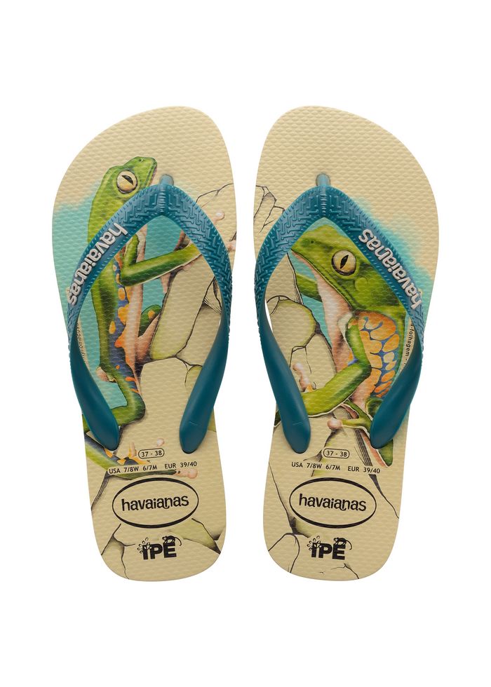 HAVAIANAS IPE Spruce